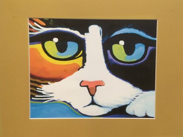 Rauch Art - Rauch - Colorful Cat Print