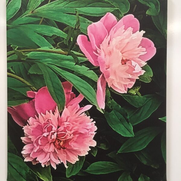 Walker Art - Walker - Peony 2 $40 (or 2 for $70)