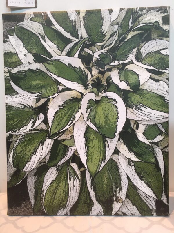 Walker Art - Walker - Hostas $40 (or 2 for $70)