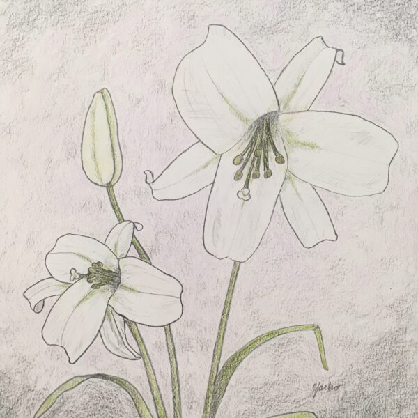 Yacko Art - Terrie Yacko Easter Lilies $25