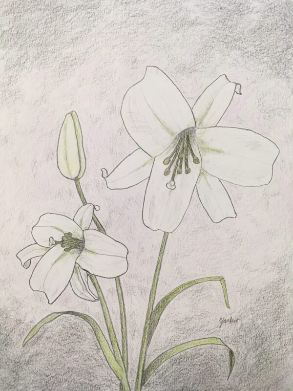 Yacko Art - Terrie Yacko Easter Lilies $25